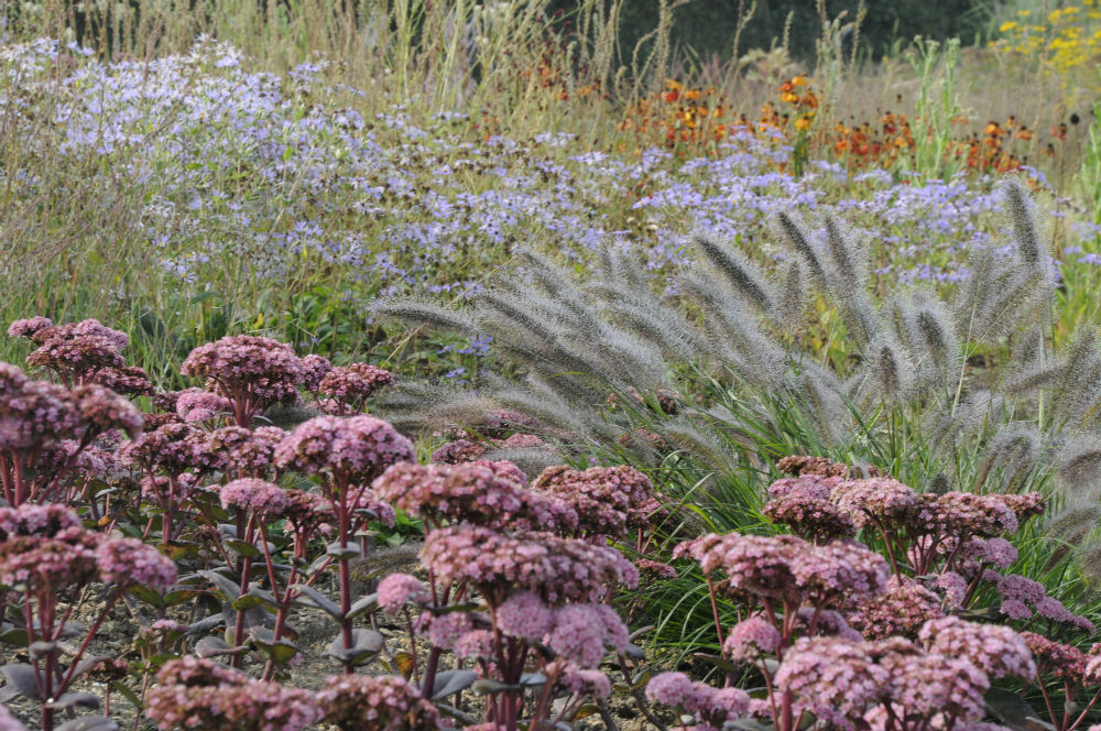Hauser Wirth garden Arthur Road Landscapes