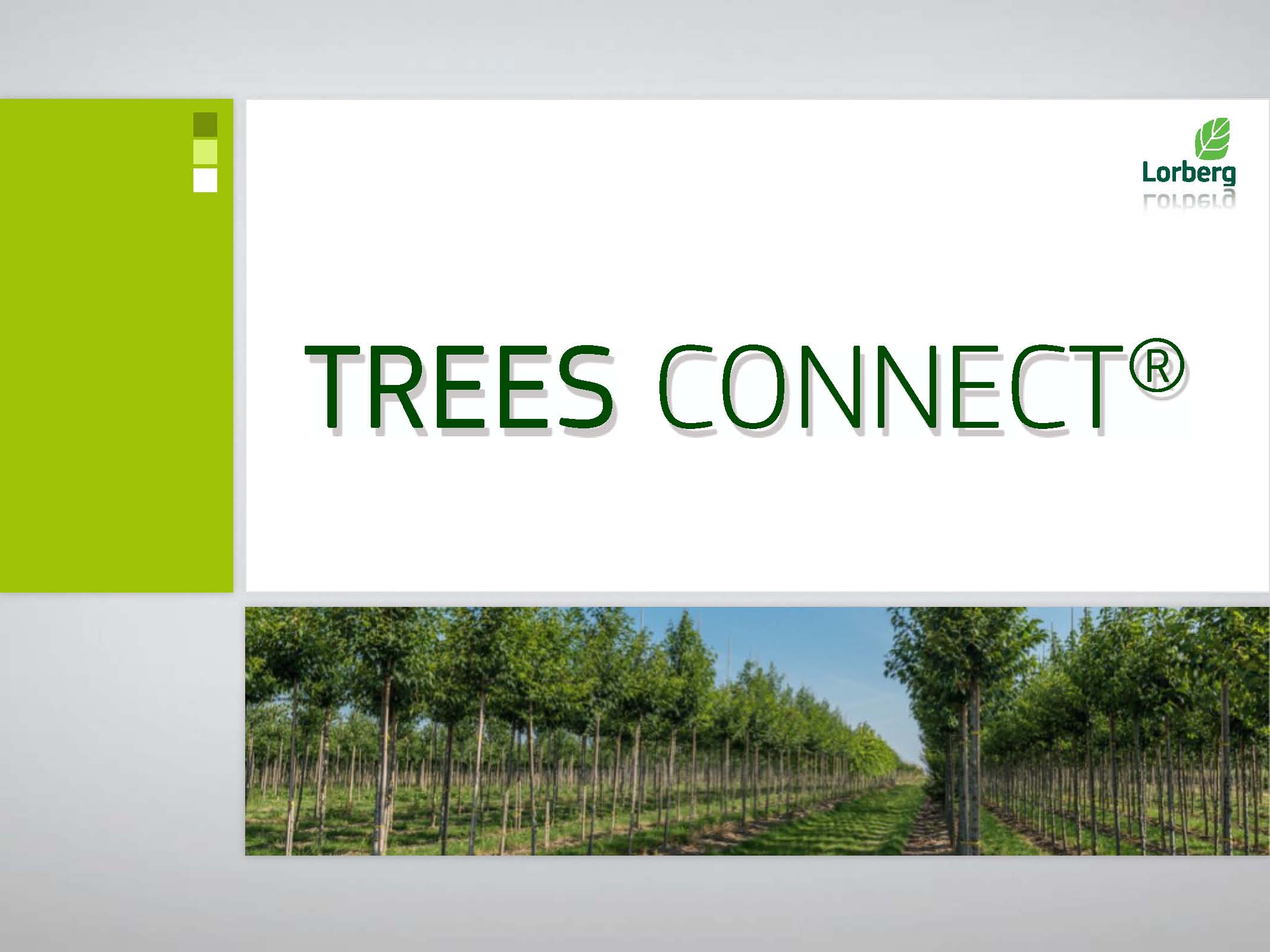 treesconnect2