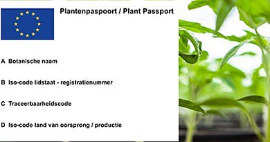 plant passport