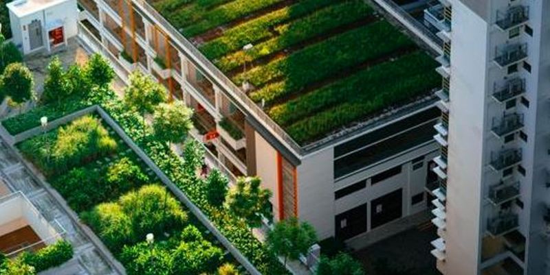 toekomst groen groendak dakgroen stadstuin urban farming vegetatie klimaat tuinen water biodiversiteit regenwaterafvoer Retentiedak Daktuin CG Concept Jaarboek 2020