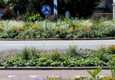 Maak openbare ruimte jaarrond groen en aantrekkelijk met vaste planten