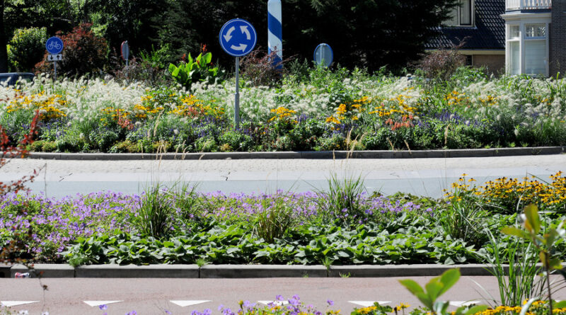 Maak openbare ruimte jaarrond groen en aantrekkelijk met vaste planten