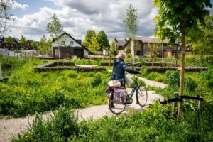 Samen met keten- en kennispartners werken aan biodiversiteit en klimaatbestendigheid: Heijmans wil onderdeel zijn van de oplossing