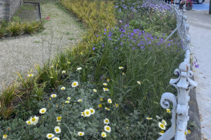 Unieke renovatie kerktuin Vilvoorde