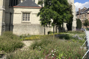 Unieke renovatie kerktuin Vilvoorde