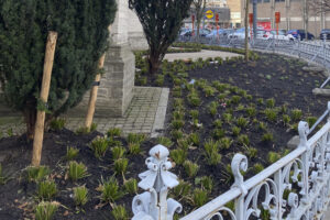 Unieke renovatie kerktuin Vilvoorde