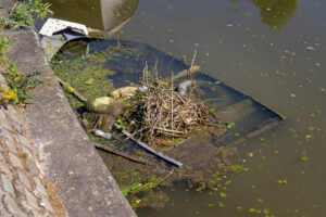 Werken aan duurzaamheid betekent dat we collectief moeten leren genieten van de schoonheid die schuilt in natuurlijke processen. Een schoonheid waarbij het landschap mee mag vormgeven.