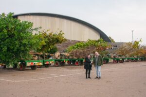 Van den Berk Boomkwekerijen neemt Britse kwekerij Tandee Nursery over